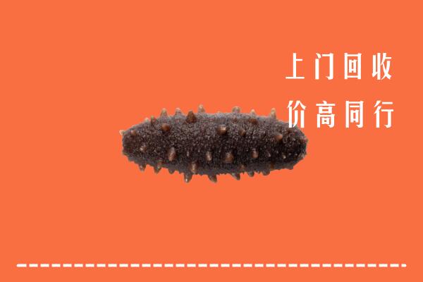 河池高价回收海参